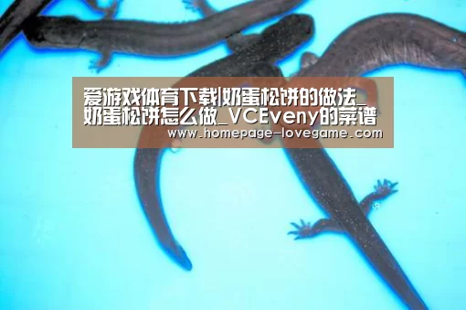 爱游戏体育下载|奶蛋松饼的做法_奶蛋松饼怎么做_VCEveny的菜谱(图2) 爱游戏官网
