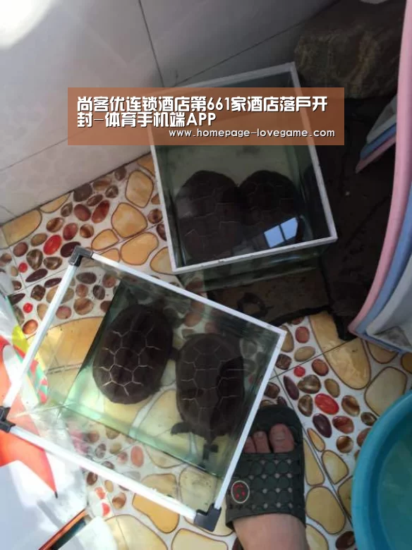 尚客优连锁酒店第661家酒店落户开封-体育手机端APP(图2) 爱游戏官网