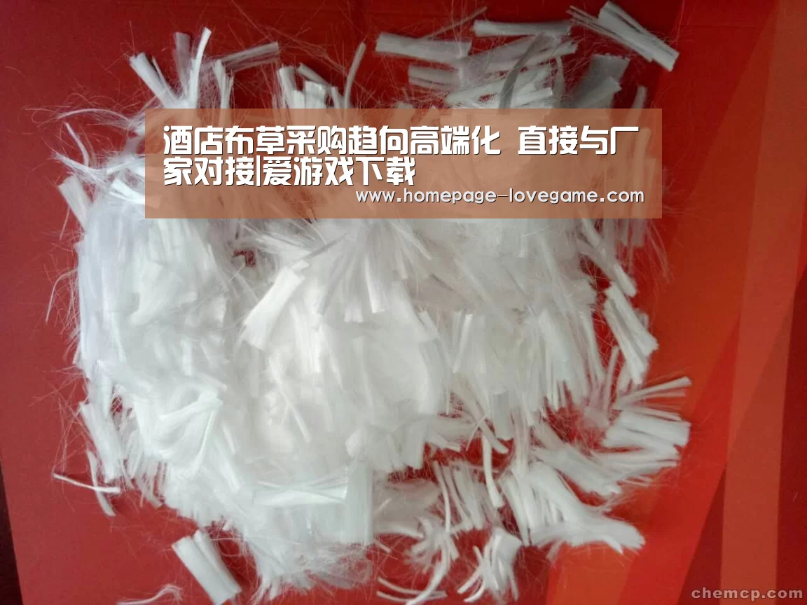 体育手机端APP
